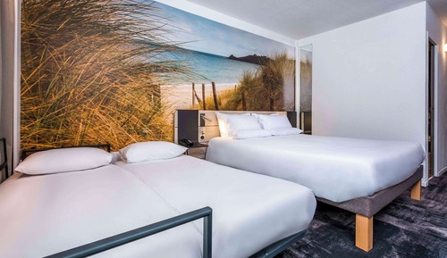 Executive Room, 1 Queen Bed