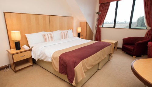 Premier Room, 1 Double Bed
