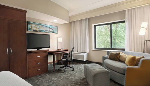 Room, 1 King Bed with Sofa bed, Non Smoking (Hearing Accessible)
