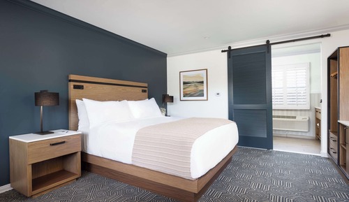 Room, 1 King Bed