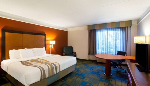 Room, 1 King Bed, Accessible, Non Smoking (Mobility/Hearing Impaired Accessible)