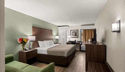 Suite, 1 King Bed, Smoking