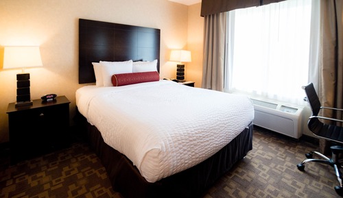 Standard Room, 1 King Bed, Non Smoking