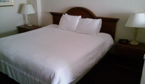 Executive Suite, 1 King Bed with Sofa bed, Non Smoking