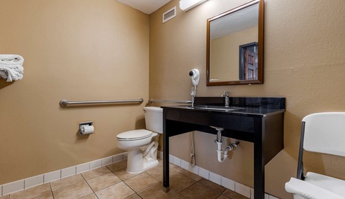 Room, 1 King Bed, Accessible, Non Smoking