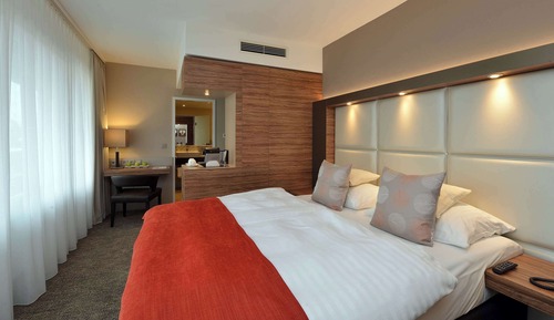 Superior Room, 1 Double Bed