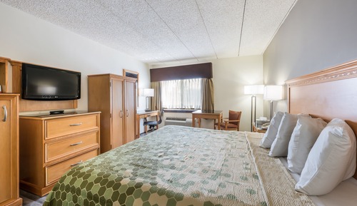 Standard Room, 1 King Bed, Non Smoking