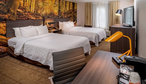 Standard Double Room, 2 Double Beds, Non Smoking