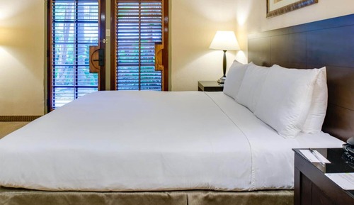 Room, 1 King Bed (with sofabed)