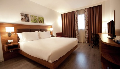 Room, 1 King Bed