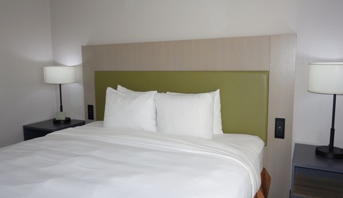 Room, 1 King Bed, Non Smoking