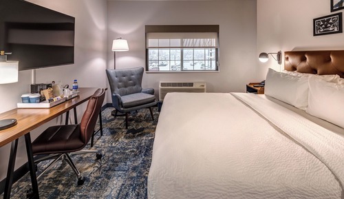 Suite, 1 Bedroom