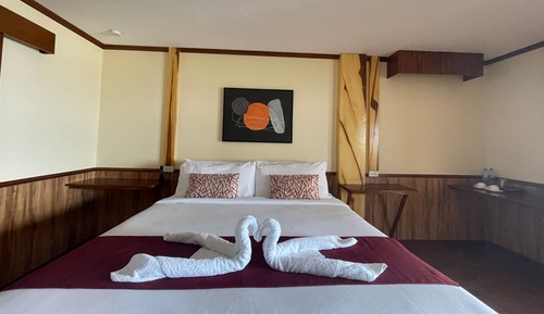 Premier Room, 1 King Bed