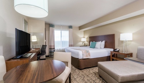 Suite, 1 Bedroom, Accessible, Non Smoking