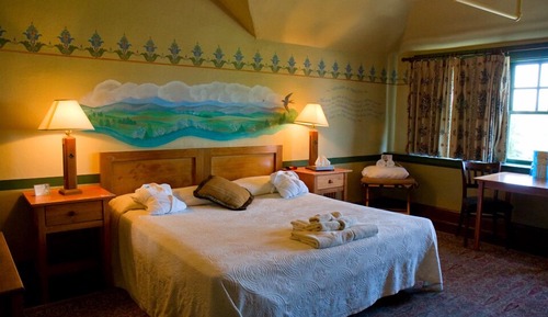 Room, 1 King Bed (Common Bathroom)