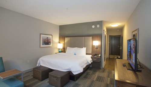 Room, 1 King Bed, Accessible (Roll-in Shower)