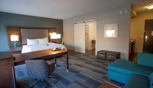 Studio, 1 King Bed, Non Smoking, Refrigerator & Microwave (Wet Bar)