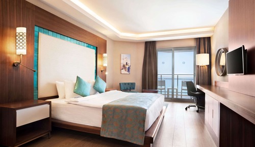 Room, 1 Double Bed