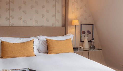 Room (Bigger Guest Room)