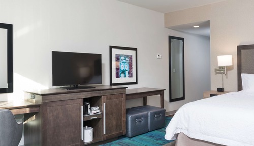 Room, 1 King Bed, Non Smoking (with Chaise)