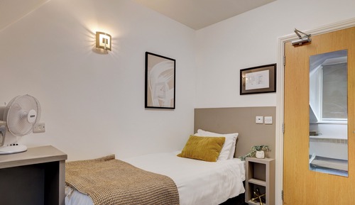 Standard Single Room, 1 Twin Bed