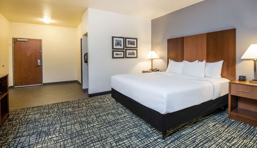 Room, 1 King Bed, Accessible, Non Smoking (Bathtub w/ Grab Bars)