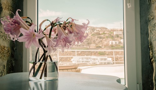 Luxury Villa, 3 Bedrooms