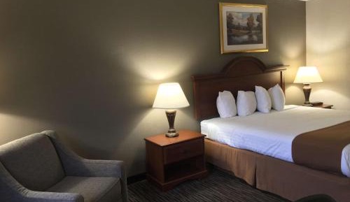 King Room - Pet Friendly/Non Smoking