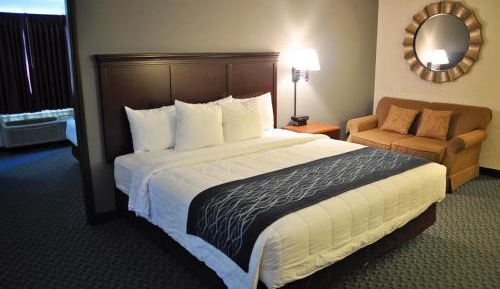 Standard Suite