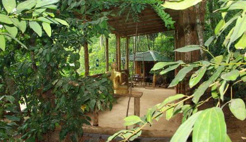 Ayurveda Spice Forest Retreat
