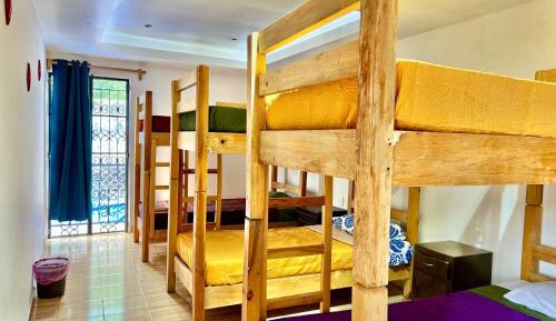 Bed in 6-Bed Mixed Dormitory Room
