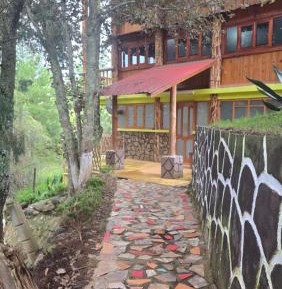 Bungalow - Water Front 