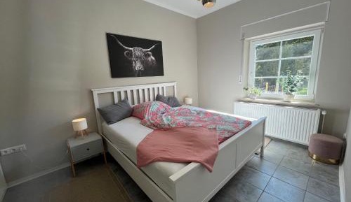 Superior One-Bedroom Apartment