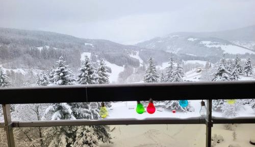 Studio with Mountain View