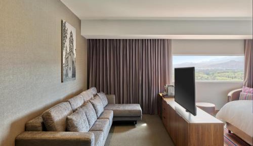  Junior Suite 1 King