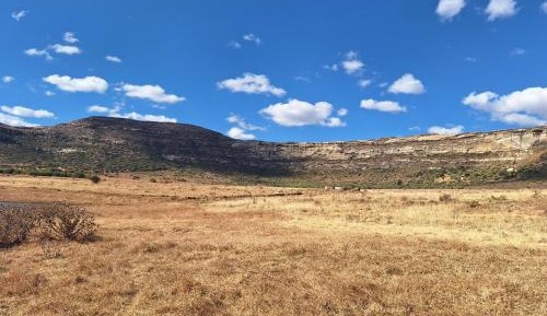 Four-Bedroom Apartment