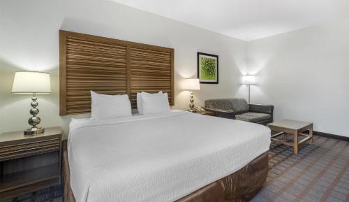 King Room with One Person Sofa Bed - Non-Smoking 