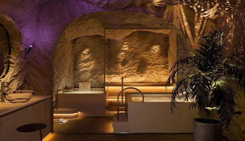 Premier Double Window and Onsen Inclusive