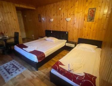 Deluxe Double or Twin Room with Garden View
