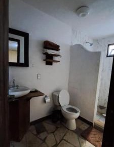 Twin Room with Terrace