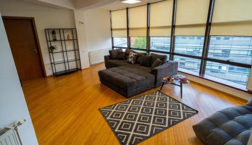 Deluxe One-Bedroom Apartment with City View