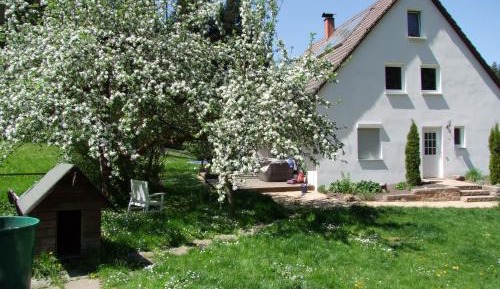 Apartment - Split Level