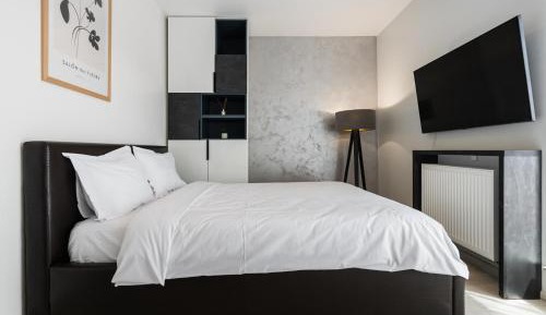 Two-Bedroom Apartment with Mountain View