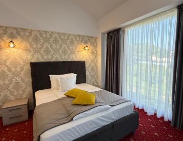 One-Bedroom Deluxe Apartment