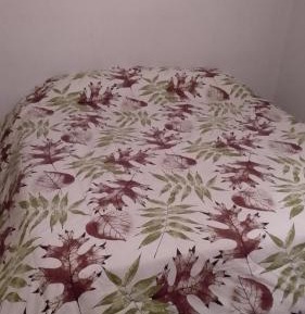 Twin Room with Shared Bathroom