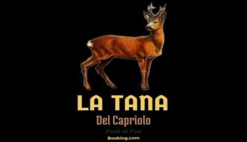 Two-Bedroom Family Apartment