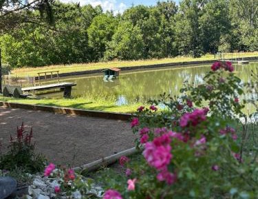 Family Room with Lake View