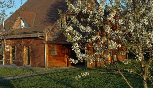 Holiday Home (7 Adults)