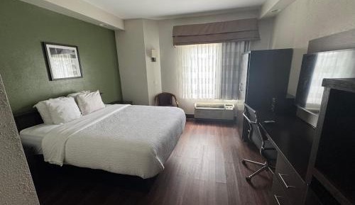 Large Single Room