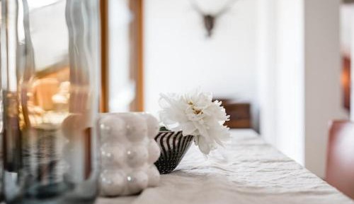 Apartment with Terrace 4.1